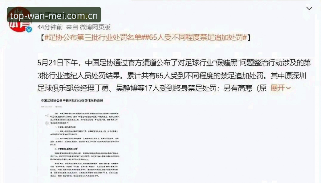 完美体育平台解读：足协第三批禁足名单使用指南——从新闻事件看体育诚信建设