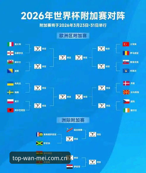 2026世界杯观赛危机深度解析：签证困局与地缘政治如何影响全球球迷体验